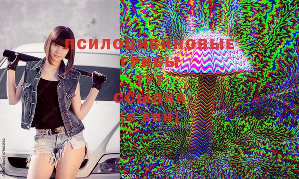 соль ск Нягань