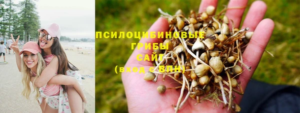 наркотики Алексеевка