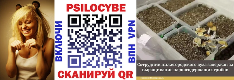 Галлюциногенные грибы мицелий  Себеж 